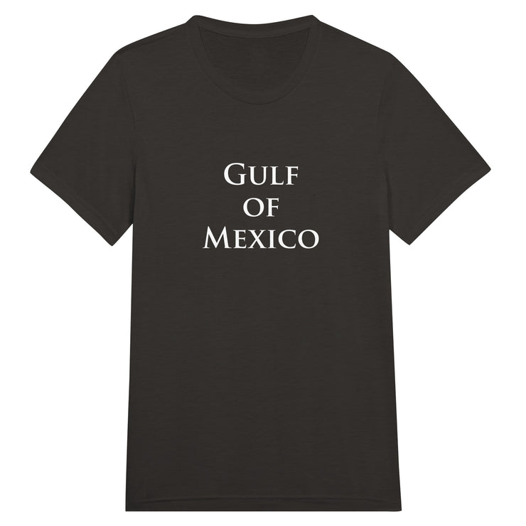Gulf of Mexico unisex tees tanks and hoodies