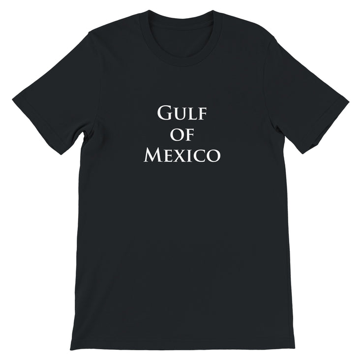 Gulf of Mexico unisex tees tanks and hoodies