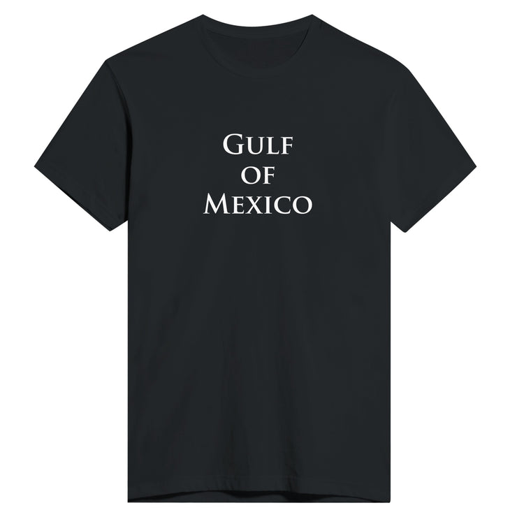 Gulf of Mexico men's t-shirts and hoodies