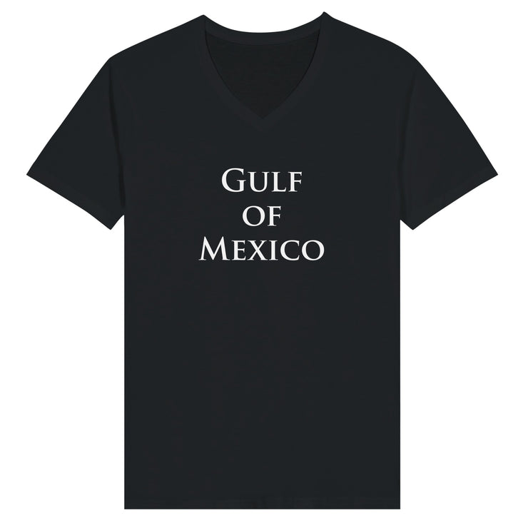 Gulf of Mexico unisex tees tanks and hoodies