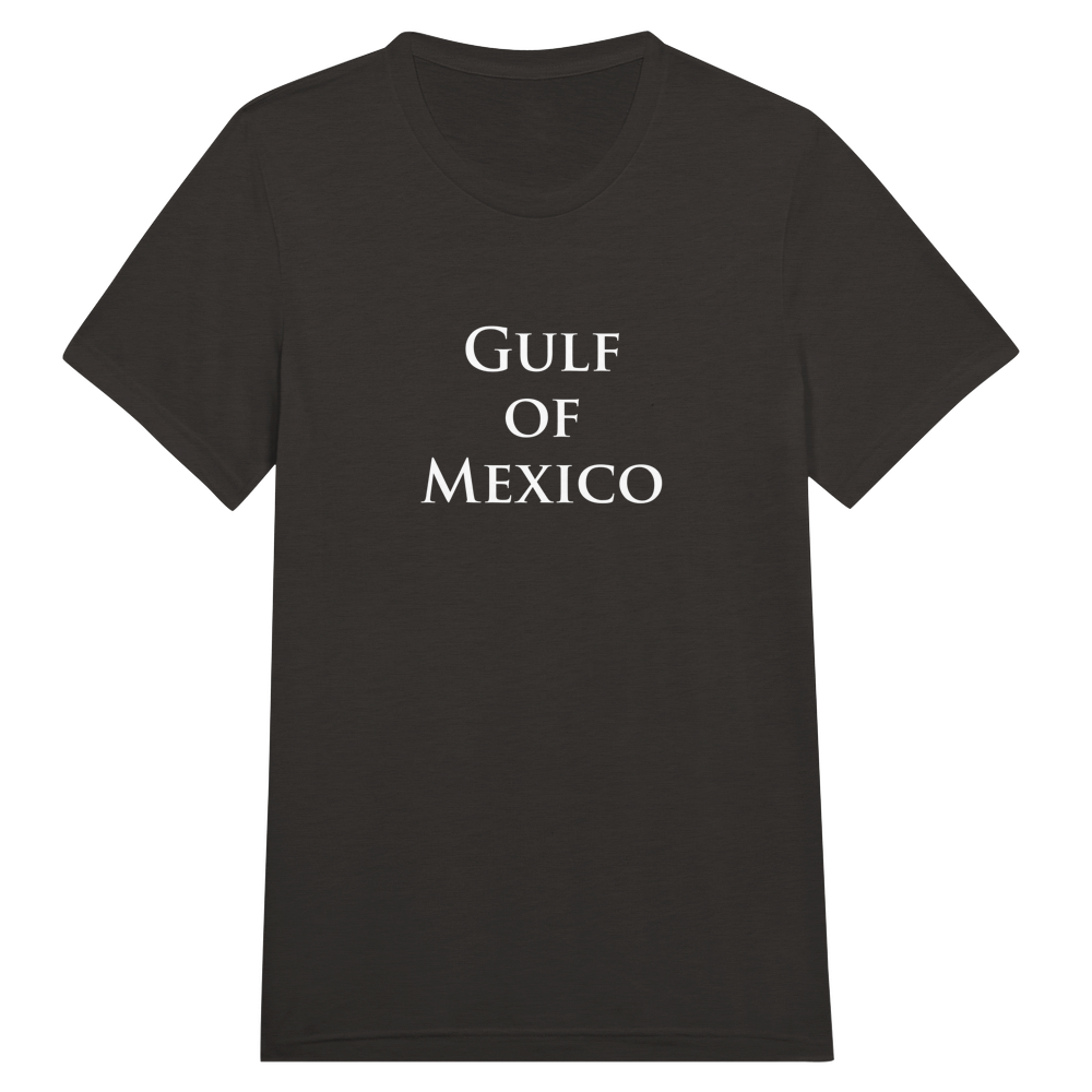 Gulf of Mexico Unisex Tees and Tanks