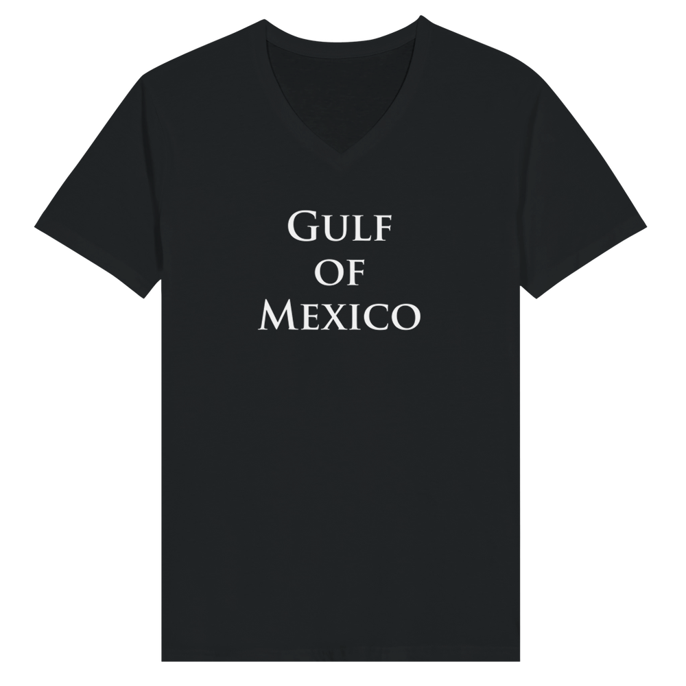 Gulf of Mexico Unisex Tees and Tanks